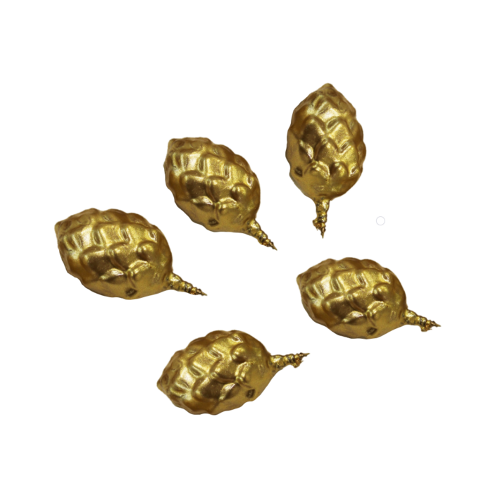 GRANI per cero Pasquale